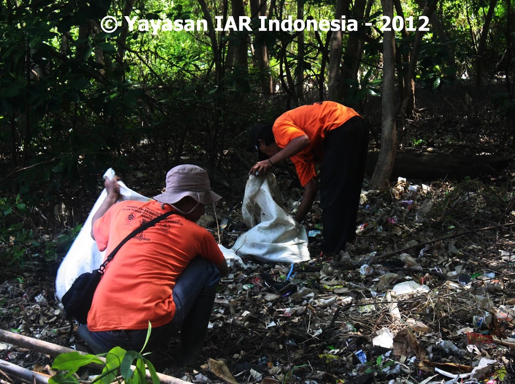 Kegiatan Kolaborasi Yayasan IAR Indonesia dan FK3I Jakarta: Bersih Sampah di Hutan Lindung Angke Kapuk dan Edukasi Penyadartahuan Warga Kapuk Muara