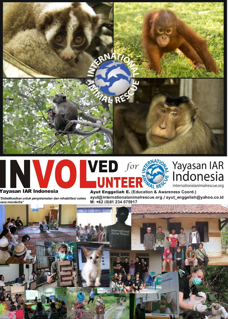 Formulir Volunteer Yayasan IAR Indonesia