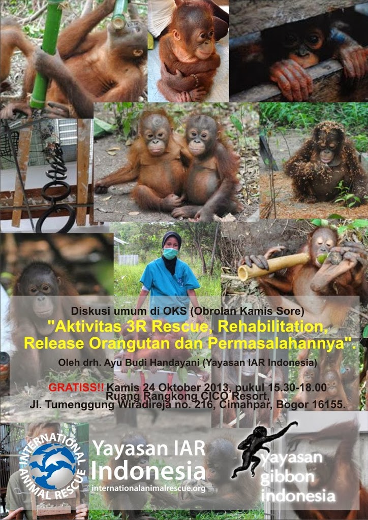 Diskusi Umum OKS “Aktivitas 3R Rescue, Rehabilitation, Release Orangutan dan Permasalahannya”