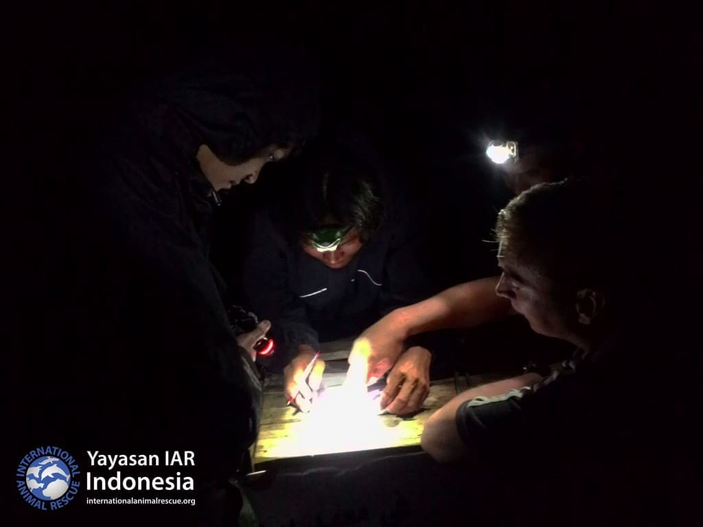 Mahasiswa Universitas Pakuan bersama tim YIARI melakukan training survei pengambilan data populasi hewan nokturnal di Curug Nangka, Ciapus, Bogor, jawa Barat. Training dilakukan untuk latihan teknis sebelum survei di Gunung Tarak Kalimantan Barat. Pengambilan data menggunakan metode Line Transect. 