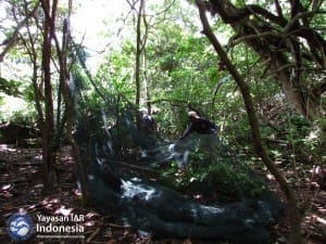 Tim YIARI membangun kandang habituasi di Pulau Panaitan untuk lokasi adaptasi monyet ekor panjang sebelum dilepasliar.