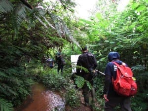 Tim lepasliar menyusuri jalan setapak masuk ke dalam hutan menuju kandang habituasi