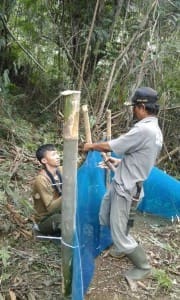 Tim Survey Release Monitoring (SRM) YIARI  memasang fiber untuk membuat kandang habituasi di kawasan Suaka Margasatwa Gunung Sawal, Ciamis, Jawa Barat. 