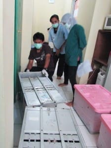 Tim medis dan perawat satwa menyiapkan box transportasi untuk memindahkan kukang 
