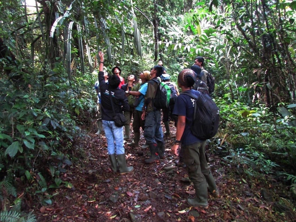 Tim mengamati salah satu pohon di plot 3 Kalimati Taman Nasiona Gunung Halimun-Salak