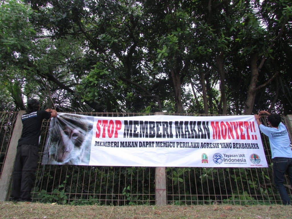 Tim YIARI memasang spanduk di area taman sepanjang akses jalan keluar Perumahan Mediteranian Boullevard Pantai Indah Kapuk , Jakarta Utara, Sabtu, 19 Maret 2016. Lokasi tersebut merupakan titik potensi konflik pemberian makan monyet ekor panjang oleh pengendara yang melintas.