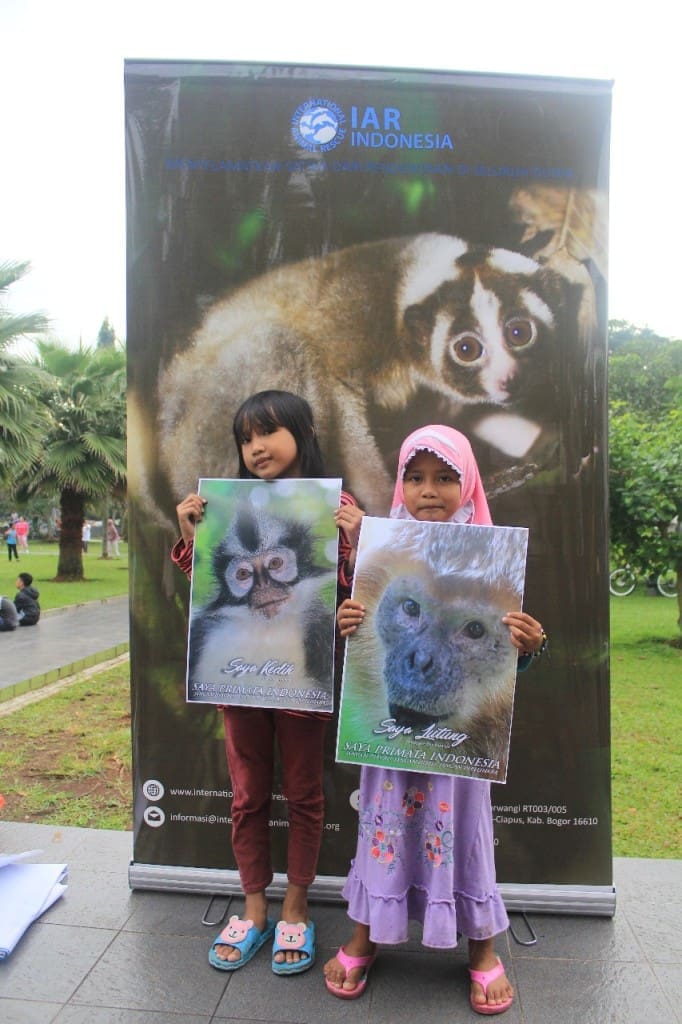 Kampanye ini diharapkan menjadi pemicu generasi muda untuk tetap melindungi dan melestarikan primata Indonesia. Foto: Ismail Agung/IAR Indonesia.