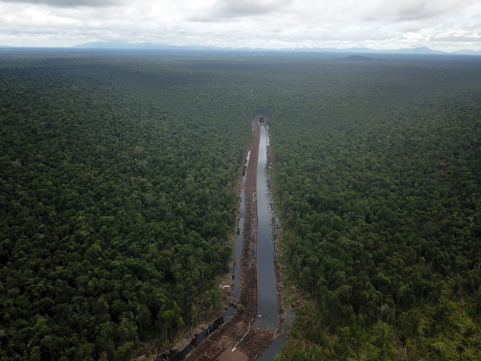 Laporan Penilaian Cepat Populasi Orangutan, Biodiversity, Vegetasi dan Kedalaman Gambut PT. Mohairson Pawan Khatulistiwa (MPK) Blok Hutan Sungai Putri (Sentap Kancang) Ketapang, Kalimantan Barat