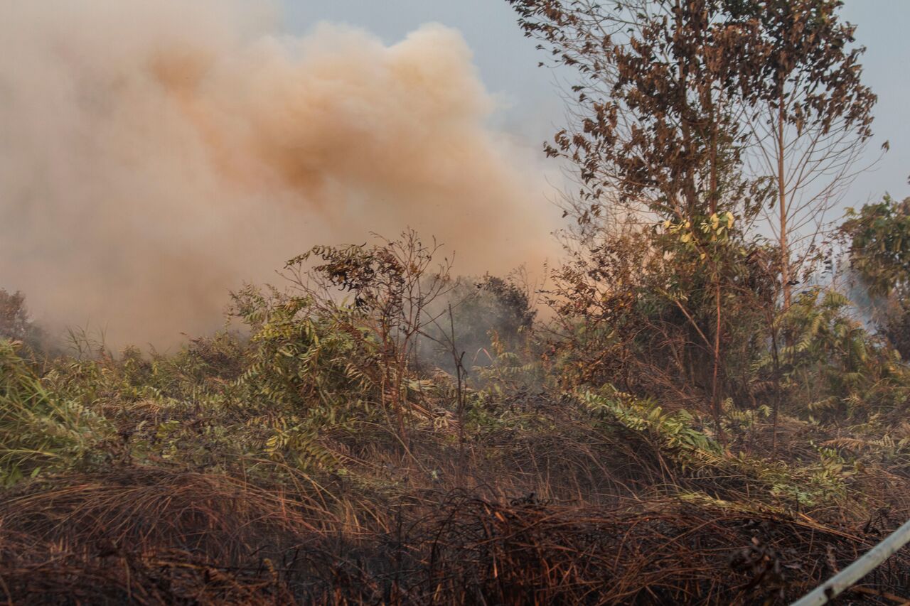 Lelatu Picu Kebakaran Enam Hektar di Lahan Warga