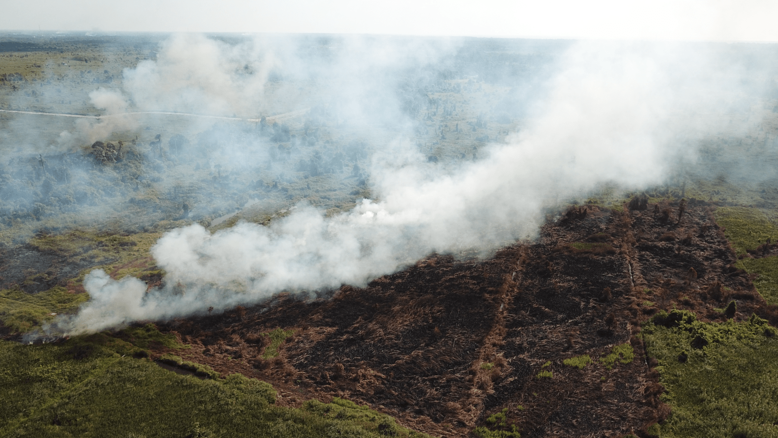 Kebakaran Lahan di Sungai Awan Kiri, IAR Indonesia Padamkan Api Bersama Jajaran Kepolisian, TNI, Manggala Agni dan BPBD