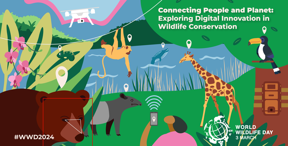 World Wildlife Day 2024: Peran YIARI dalam Konservasi Melalui Penerapan Inovasi Digital