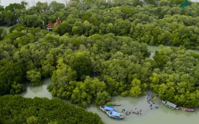Hutan Mangrove, Rumah bagi Biota dan Fauna yang Mesti Dilindungi