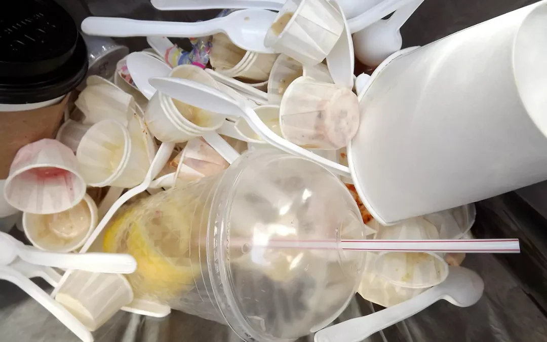 Sampah Plastik: Ancaman bagi Lingkungan dan 13 Cara Efektif Menguranginya